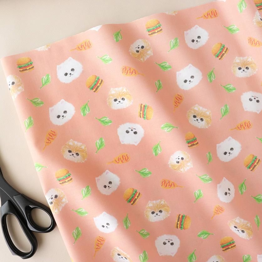 ★ ぬこ様 ★ ぬこー様ちゃん@ロードバイク狂 (@nukosama) / X