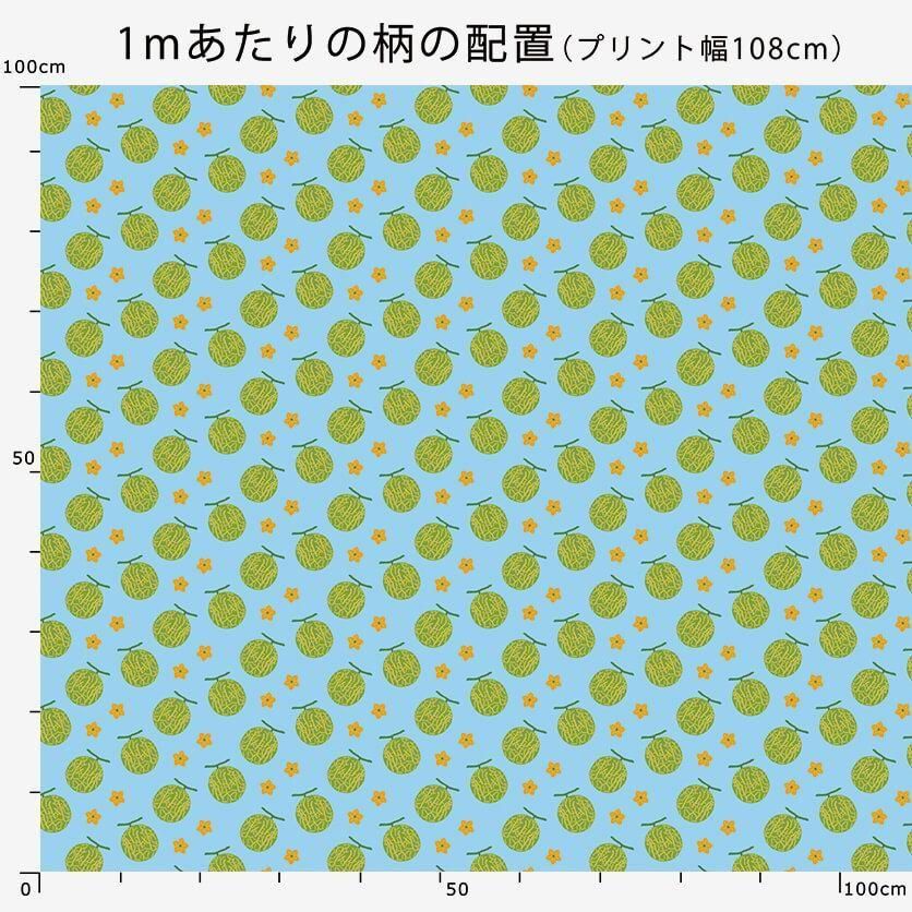 メロンページです。 センシティブメロン｜Blistex