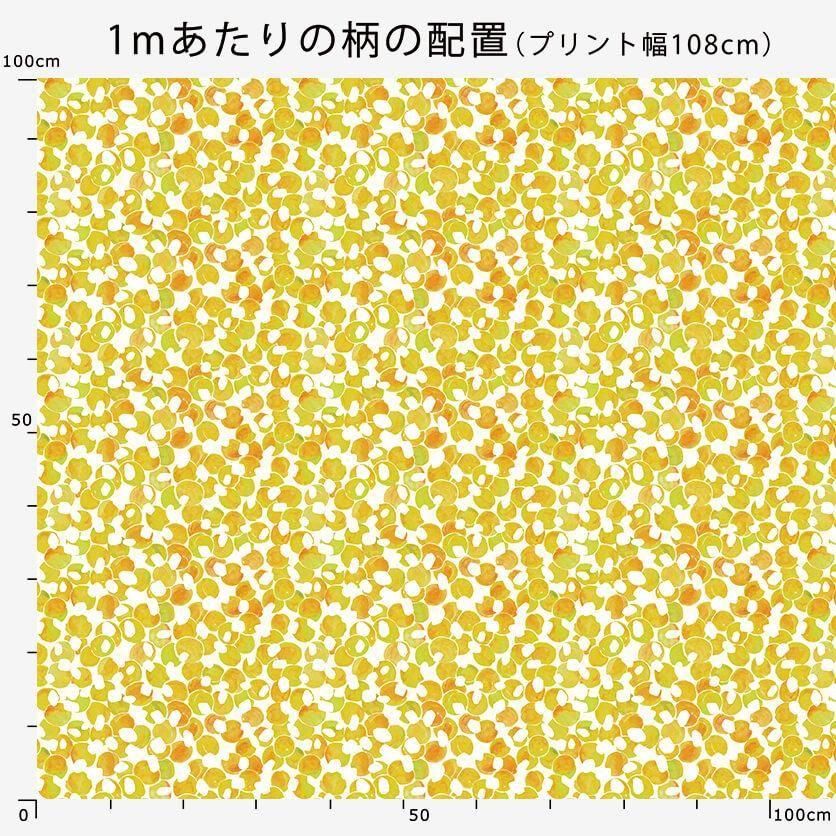 梅の花 天神店 メニュー：こだわりの単品 - 楽天ぐるなび