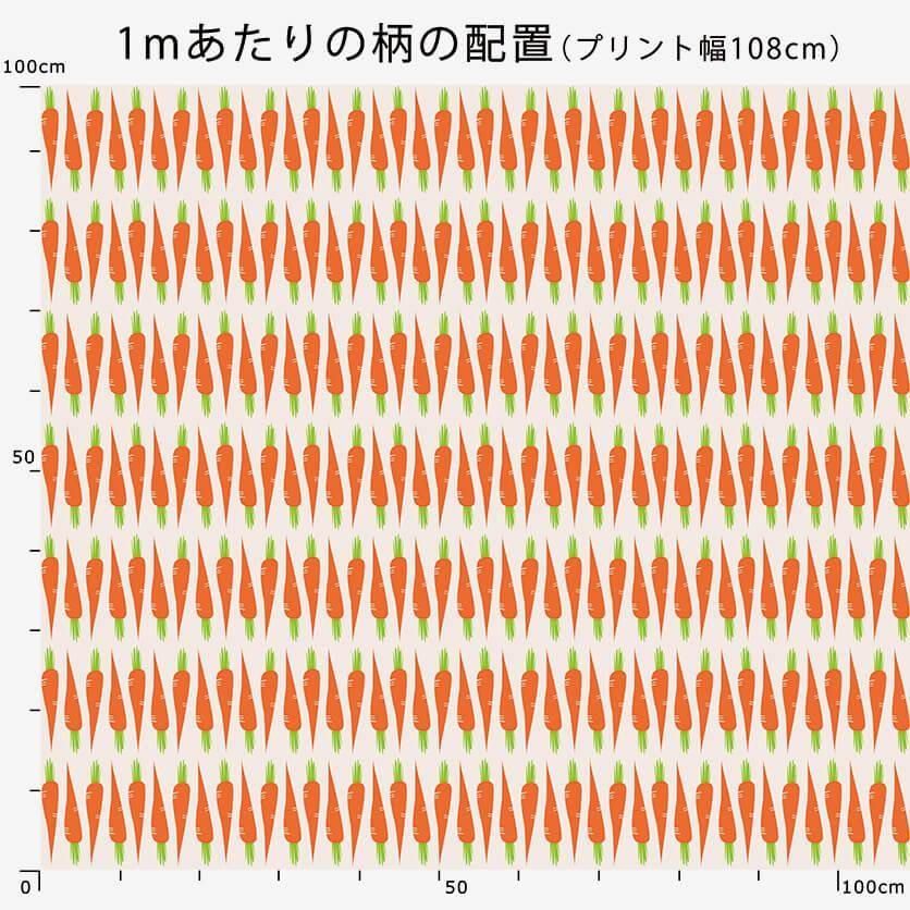 にんじんページ Amazon.co.jp: おもちゃになりたいにんじん (えほんのぼうけん