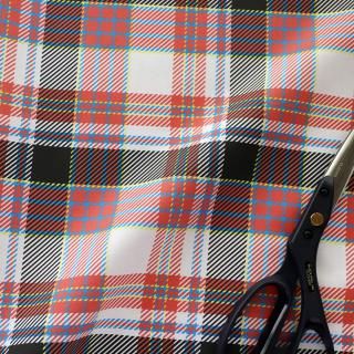 <img class='new_mark_img1' src='https://img.shop-pro.jp/img/new/icons5.gif' style='border:none;display:inline;margin:0px;padding:0px;width:auto;' />秋色タータン(レッド)