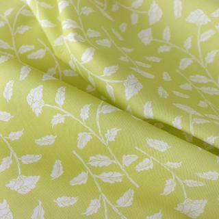 <img class='new_mark_img1' src='https://img.shop-pro.jp/img/new/icons1.gif' style='border:none;display:inline;margin:0px;padding:0px;width:auto;' />�ܥ��˥��롦��ץ��ǥ��ʥ��꡼�� -����-��