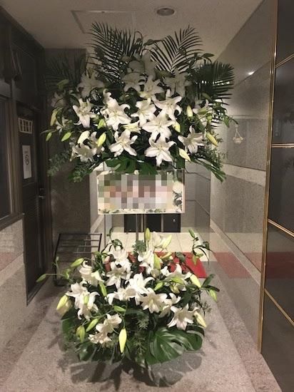 知っているに立ち寄る 混合した 毒 カサブランカ 花屋 有益 汚れる 紫の 知っているに立ち寄る 混合した 毒 カサブランカ 花屋 有益 汚れる 紫の