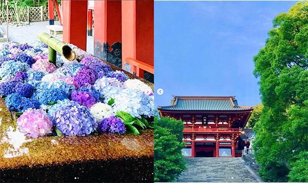 鎌倉店ブログ 2023/6 - PACIFIC OCEAN BLUE ネットショップ