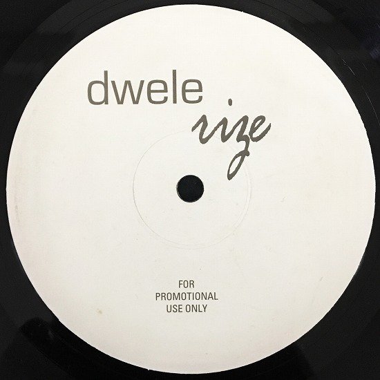 Dwele / Rize