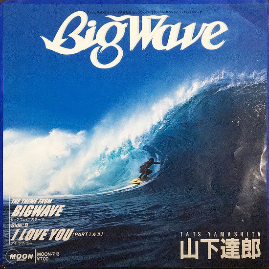 ãϺ / Big Wave
