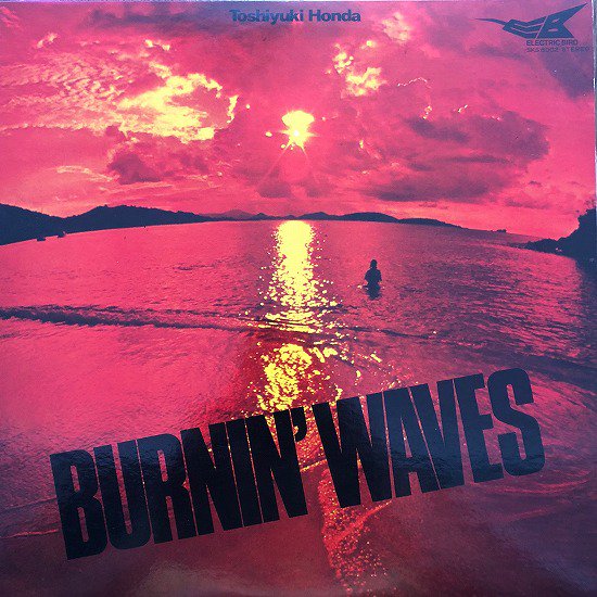 ¿Ƿ / BVRNIN' WAVES