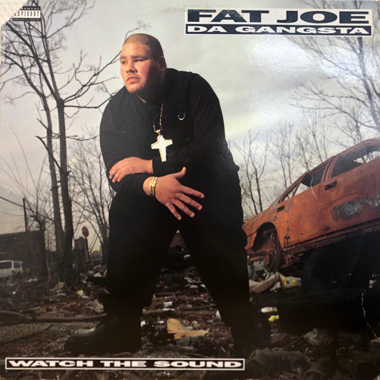 Fat Joe Da Gangsta / Watch The Sound (1993 US ORIGINAL)