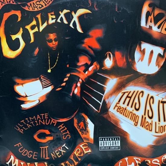 MIXMASTER G-FLEXX FEATURING MAD LION / THIS IS IT