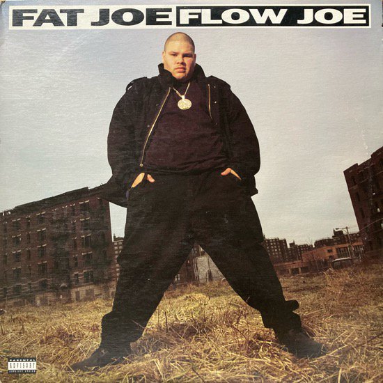 FAT JOE / FLOW JOE (1993 US ORIGINAL)