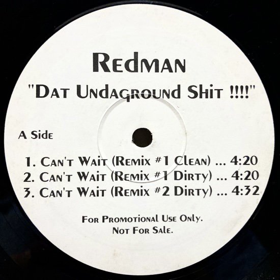 REDMAN / DAT UNDAGROUND SHIT!!!! (1995 US PROMO ONLY RARE PRESSING)