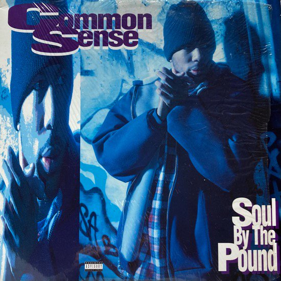COMMON SENSE / SOUL BY THE POUND (1993 US ORIGINAL )
