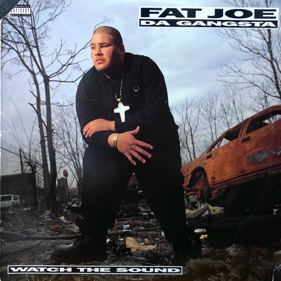 FAT JOE DA GANGSTA / WATCH  THE SOUND (1993 US ORIGINAL )