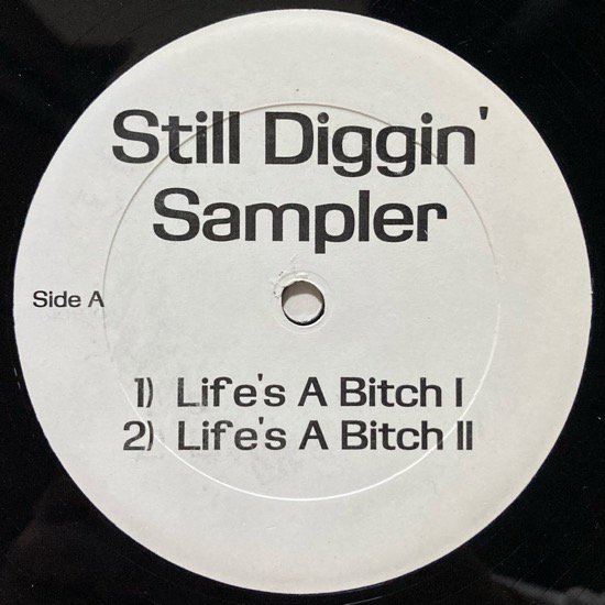 BUCKWILD / STILL DIGGIN' SAMPLER (1995 US ORIGINAL PROMO)