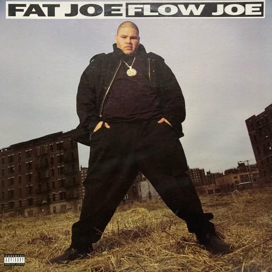 FAT JOE / FLOW JOE (1993 US ORIGINAL)