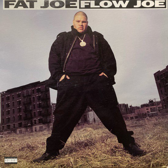 FAT JOE / FLOW JOE (1993 US ORIGINAL)