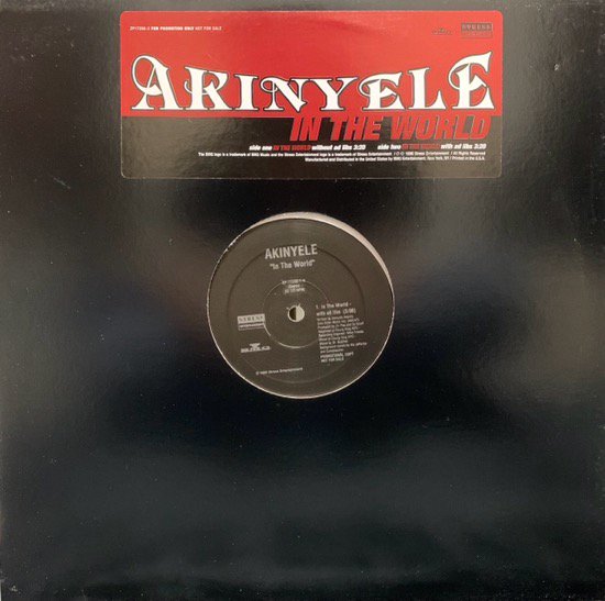 AKINYELE / IN THE WORLD (1996 US PROMO ONLY) - SLASH RECORD