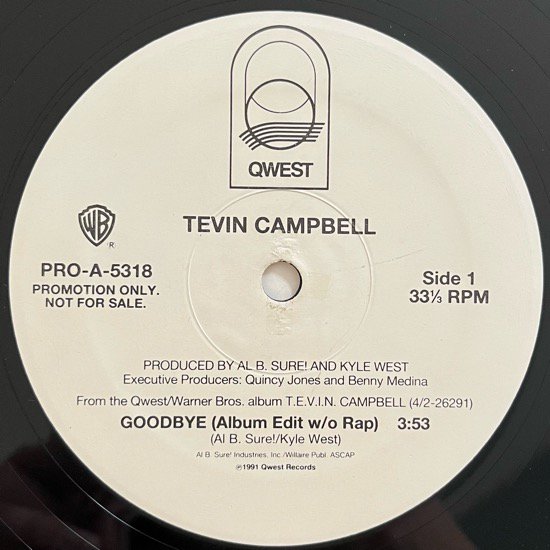 TEVIN CAMPBELL / GOODBYE (1992 US PROMO ONLY)
