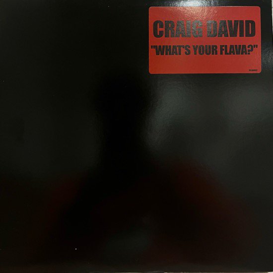 CRAIG DAVID / WHAT'S YOUR FLAVA? (2002 US PROMO ONLY)