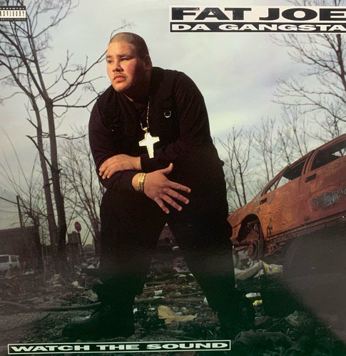 FAT JOE DA GANGSTA / WATCH THE SOUND (1993 US ORIGINAL)