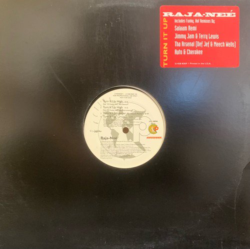 Raja-Neé / Turn It Up remix (1994 US PROMO ONLY)