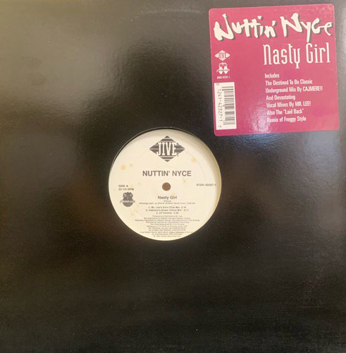Nuttin' Nyce / Nasty Girl (1995 US ORIGINAL)