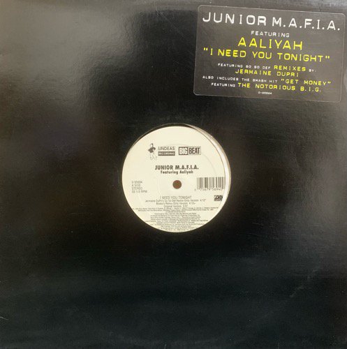 Junior M.A.F.I.A. Featuring Aaliyah / I Need You Tonight (1995 US ORIGINAL)