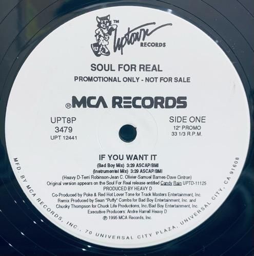 SOUL FOR REAL / IF YOU WANT IT (1995 US PROMO)