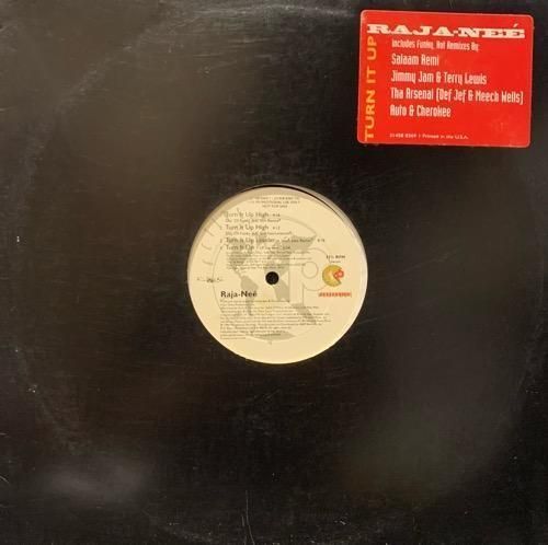 Raja-Nee / Turn It Up (Remix)(1994 US PROMO ONLY)