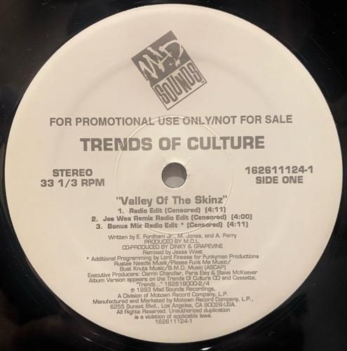 TRENDS OF CULTURE / VALLEY OF THE SKINZ / Let The Big Boyz Play (1993 US PROMO ONLY)