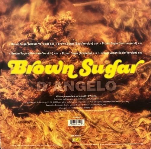 洋楽 D'ANGELO BROWN SUGAR D'ANGELO / BROWN SUGAR (1995 US ORIGINAL) - SLASH RECORD