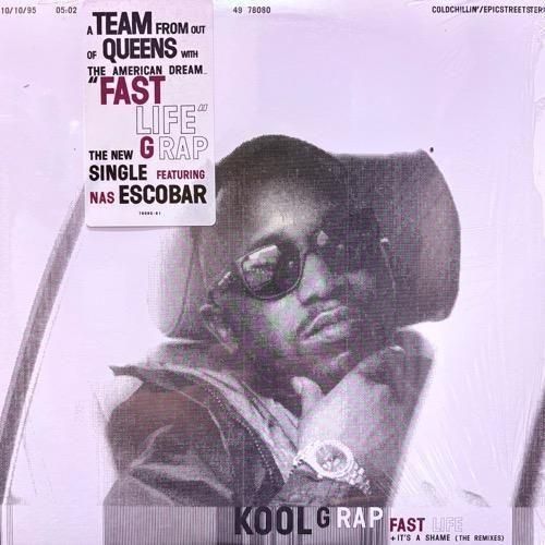 KOOL G RAP / FAST LIFE b/w IT'S A SHAME (REMIXES)(1995 US ORIGINAL