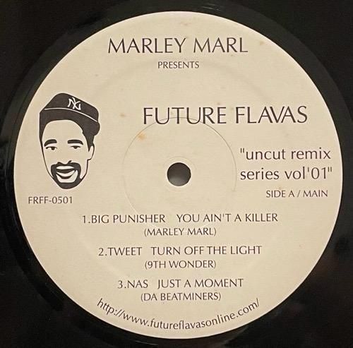 Marley Marl / Future Flavas 