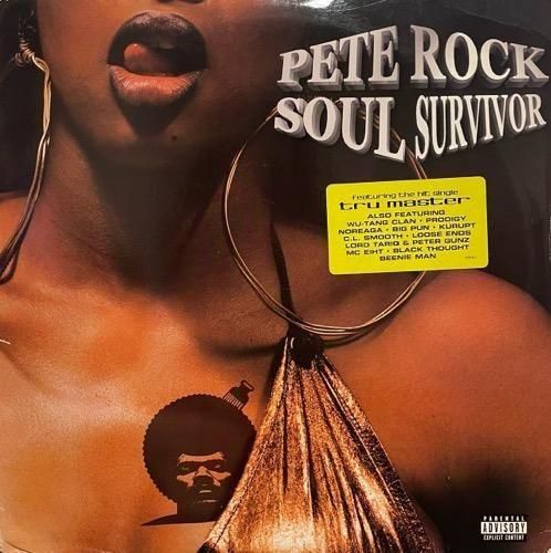 PETE ROCK / SOUL SURVIVOR (1998 US ORIGINAL)
