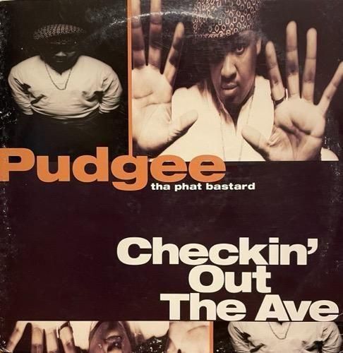 Pudgee Tha Phat Bastard / Checkin' Out The Ave.(1993 US ORIGINAL)