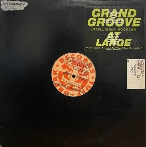 INTELLIGENT HOODLUM / GRAND GROOVE b/w AT LARGE (1993 US ORIGINAL PROMO )