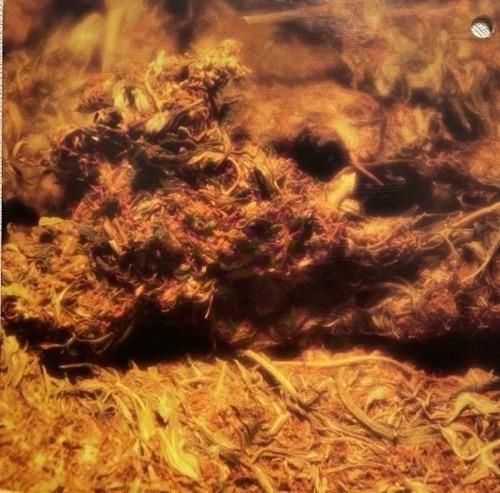 D'ANGELO / BROWN SUGAR (1995 US ORIGINAL)