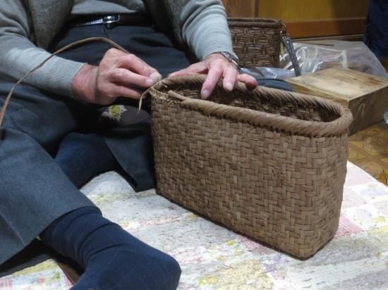 山ぶどう(中)山葡萄 山ぶどう(中)山葡萄