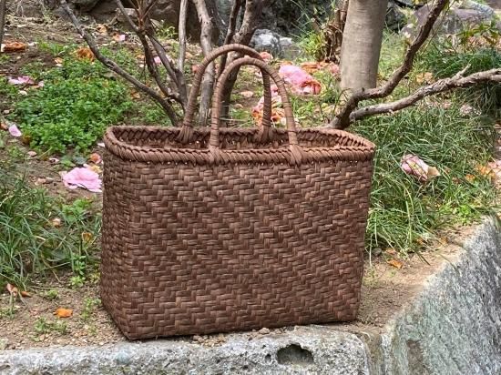 山ぶどう（大）角 山葡萄