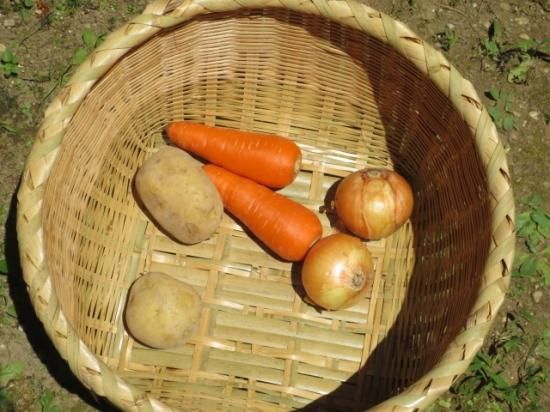 竹製野菜かご（底頑丈）こいざる