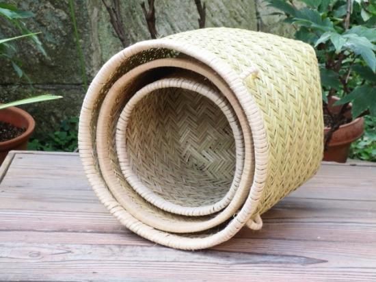 篠竹つぼけ（中）かこべ（底四角）