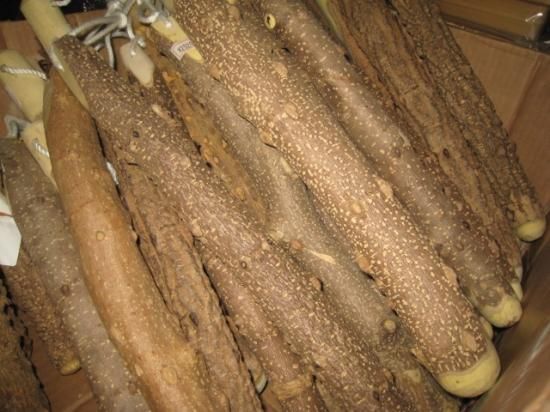 59♦️極上品 特大♦️超極太6.3cm 天然本山椒　プロ用すりこぎ棒　国産山椒の木 59♦️極上品 特大♦️超極太6.3cm 天然本山椒 プロ用すり