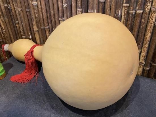 天然ひょうたん（超特大）80cm【現品限り】