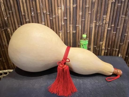 天然ひょうたん(超特大)67cm【現品限り】 天然ひょうたん(超特大)67cm【現品限り】