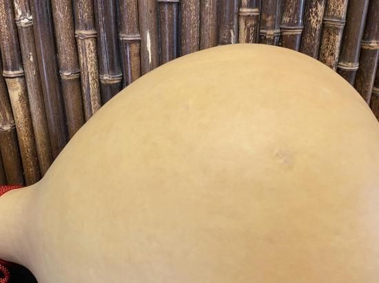 天然ひょうたん（超特大）68cm【現品限り】