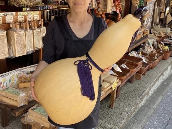 天然ひょうたん（超特大）口太 70cm【現品限り】