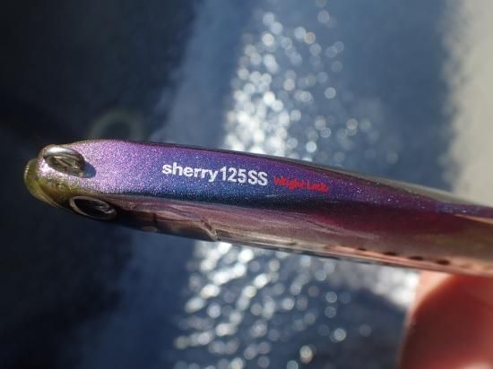 シェリー125 Sherry125SS fimoオリカラ　セット fimo Staff Log】 【新商品のお知らせ】シェリー125SS fimoオリカラ