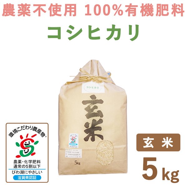 滋賀県産　5kg｜　コシヒカリ玄米　無農薬100%有機肥料　もりかわ農場