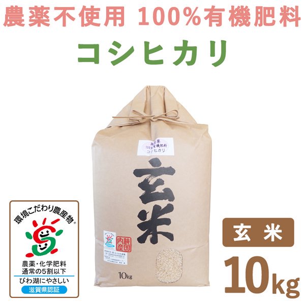 滋賀県産　10kg｜　無農薬100%有機肥料　コシヒカリ玄米　もりかわ農場