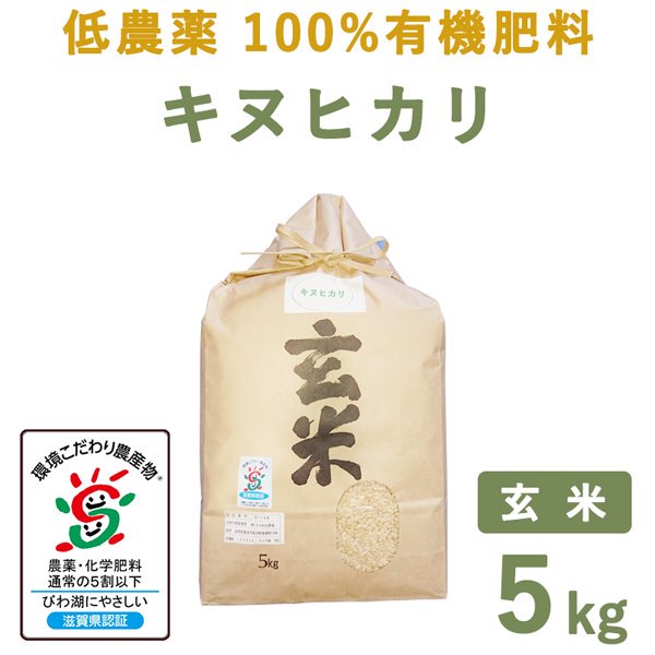 滋賀県産低農薬100%有機肥料キヌヒカリ玄米5kg｜　もりかわ農場